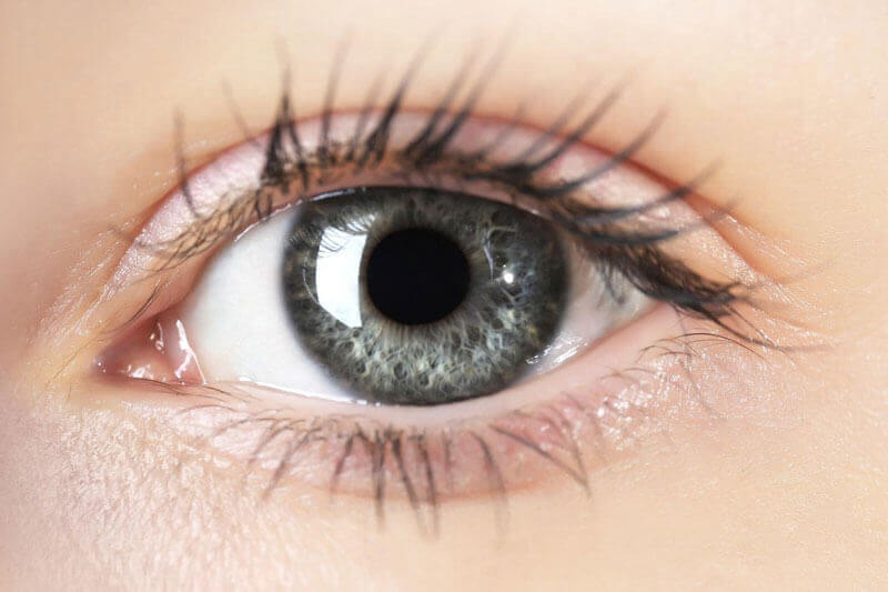 Closeup of a woman's eye